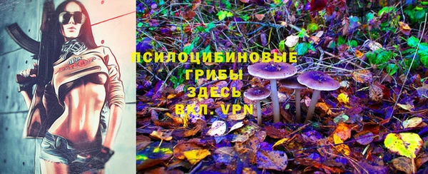 MESCALINE Нефтекумск