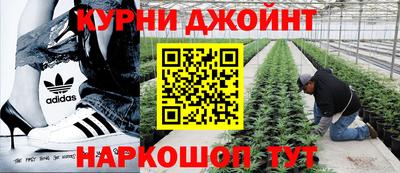 МДМА Заводоуковск