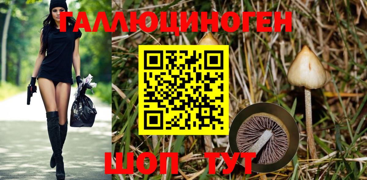 Калининград  Псилоцибиновые грибы Cubensis  купить  сайты  Псилоцибиновые грибы ЛСД  Вход с VPN 